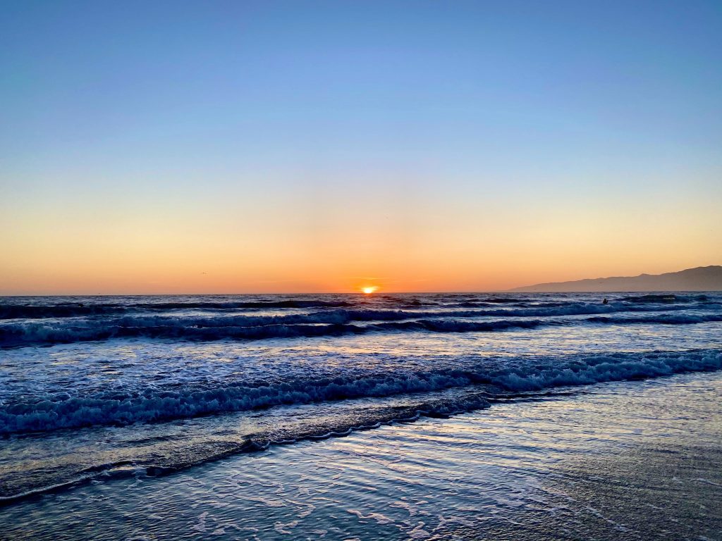 Romantic Day in Venice Beach