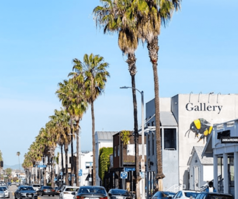 What Makes Abbot Kinney Boulevard, Venice Beach So Special